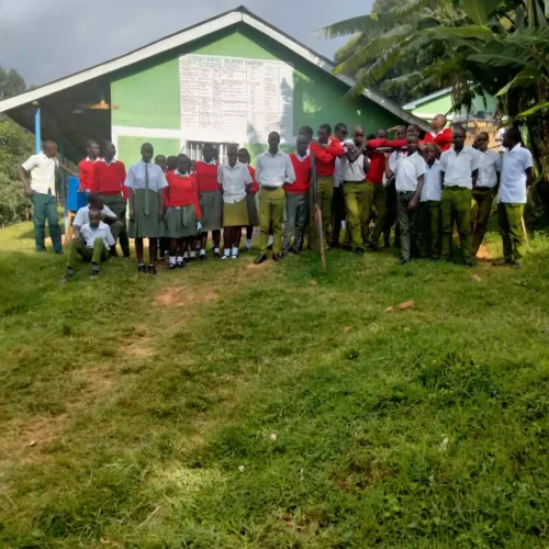 omosasa-schools-4-666bdadebbdfc